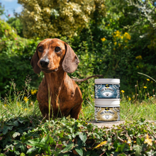 Load image into Gallery viewer, Proflax Superchew Senior