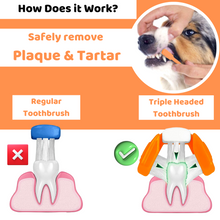 Load image into Gallery viewer, Our Dogs Life Complete Dental Kit With Deep Cleaning Toothpaste & Silicone Brush