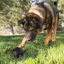 Load image into Gallery viewer, KONG Extreme Ball Large Dog Toy
