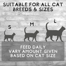 Load image into Gallery viewer, COOKHOUSE 100% Duck Breast Freeze Dried Luxury Cat Treats - 12 x 10g Bags - 100% Natural - Grain Free - High Protein - Low Fat