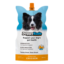 Load image into Gallery viewer, DoggyRade Isotonic Fluid Support Drink for Pet Dogs 250ml