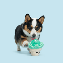 Load image into Gallery viewer, Bark Suki Succulent Dog Toy
