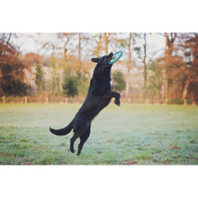 Load image into Gallery viewer, Chuckit! Zipflight Frisbee Toy For Dogs Medium 21cm