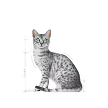 Load image into Gallery viewer, Royal Canin Indoor Sterilised in Jelly Cat Food 12 x 85g