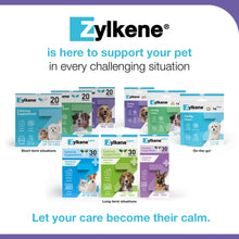 Load image into Gallery viewer, Zylkene Calming Supplement for Dogs 30-60kg