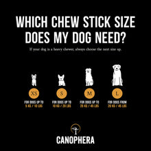 Load image into Gallery viewer, Canophera Dog Chew Stick Made Of Coffee Wood Large