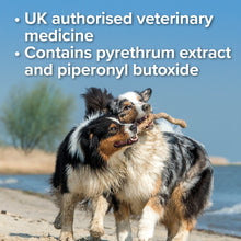 Load image into Gallery viewer, Beaphar Flea Spray for Cats and Dogs 150ml