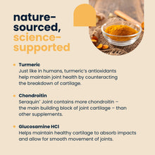 Load image into Gallery viewer, Seraquin Joint Tablets For Cats & Dogs - 800mg / 2g x 60 Chewable Tablets