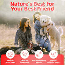 Load image into Gallery viewer, Our Dogs Life Immunity Booster Prescription Drops 200ml