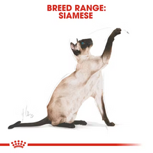 Load image into Gallery viewer, Royal Canin Siamese Cat Food