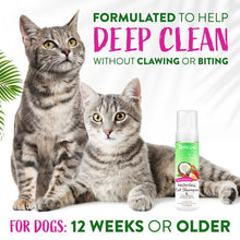 Load image into Gallery viewer, TropiClean Waterless Cat Shampoo Deep Cleaning 220ml