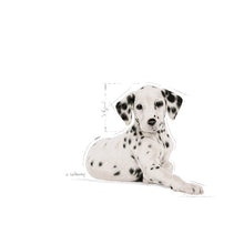 Load image into Gallery viewer, Royal Canin Dalmatian Puppy Food 12kg