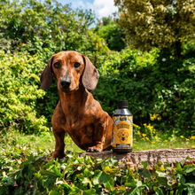 Load image into Gallery viewer, Proflax Skin & Coat Supplement