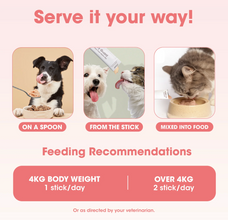 Load image into Gallery viewer, Litpet Digest Well Meaty Mix 10 x 15g Sachets per pack