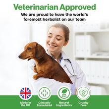 Load image into Gallery viewer, ProBioPets Daily Probiotic Immune Powder 100g