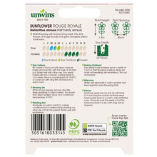 Load image into Gallery viewer, Unwins Sunflower Seed Bundle