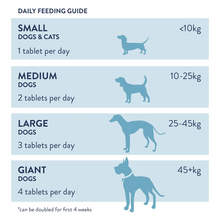 Load image into Gallery viewer, Dorwest Movewellia Advanced Joint Care Tablets For Cats & Dogs