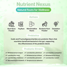 Load image into Gallery viewer, ProBioPets Daily Probiotic Cough Powder 100g