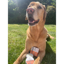 Load image into Gallery viewer, Our Dogs Life Itch Relief Skin Balm For Dogs