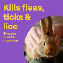 Load image into Gallery viewer, Bob Martin Clear Spot on for Small Animals - Flea, Tick & Mite - 1 Treatment