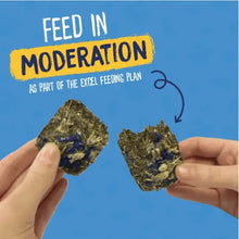 Load image into Gallery viewer, Burgess Excel Forage & Feast Treat Bars For Rabbits & Guinea Pigs
