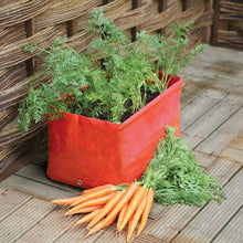 Load image into Gallery viewer, Haxnicks Patio Planters