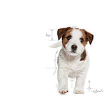 Load image into Gallery viewer, Royal Canin Mini Puppy 800g