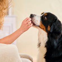 Load image into Gallery viewer, Beaphar Fresh Breath Tablets for Cats & Dogs