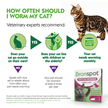 Load image into Gallery viewer, Dronspot Spot On Wormer for Large Cats (5 to 8kg) 6 Pipettes