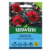 Load image into Gallery viewer, Dahlia Pinnata Black Forest Ruby