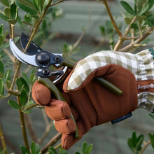Load image into Gallery viewer, Burgon & Ball Collectors Olive Micro Secateurs