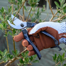 Load image into Gallery viewer, Burgon & Ball Collectors Bypass Secateurs