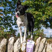 Load image into Gallery viewer, Hownd Keep Calm Wellness Treats 100g