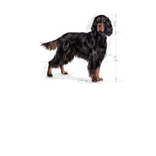 Load image into Gallery viewer, Royal Canin CCN Maxi Sterilised Dog Food 12kg