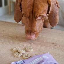 Load image into Gallery viewer, Scrumbles Nibbles Turkey Calming Dog Treats 100g