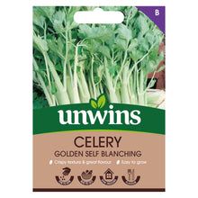 Load image into Gallery viewer, Celery Golden Self Blanching