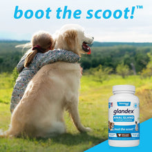 Load image into Gallery viewer, Glandex Vegan Salmon Flavoured Powder Dog & Cat Anal Gland Supplement