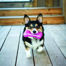 Load image into Gallery viewer, KONG Squeezz Crackle Bone Assorted Medium