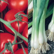 Load image into Gallery viewer, Salad Classic Collection Pack