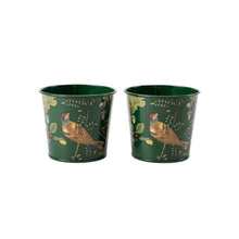 Load image into Gallery viewer, Burgon & Ball RHS Woodland Wonders 2 Herb Pots