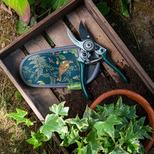 Load image into Gallery viewer, Burgon & Ball RHS Woodland Wonders Pruner and Holster Set 