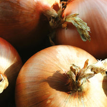Load image into Gallery viewer, Onion (Globe) Hi Keeper