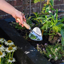 Load image into Gallery viewer, Burgon & Ball RHS Stainless Planting Trowel