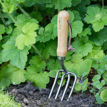 Load image into Gallery viewer, Burgon & Ball RHS Stainless Round Tine Fork