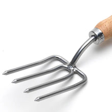 Load image into Gallery viewer, Burgon & Ball RHS Stainless Round Tine Fork
