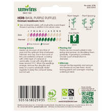 Load image into Gallery viewer, Herb Basil Purple Ruffles