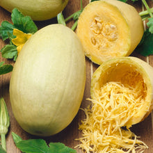 Load image into Gallery viewer, Squash (Winter) Spaghetti Stripetti