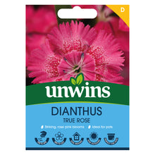 Load image into Gallery viewer, Dianthus True Rose