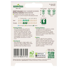 Load image into Gallery viewer, Sweet William Early Summer Scented