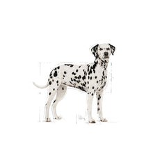 Load image into Gallery viewer, Royal Canin Dalmatian Food 12kg
